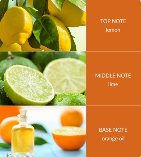 Citrus-Crush-Notes-600x693-1-1.jpg