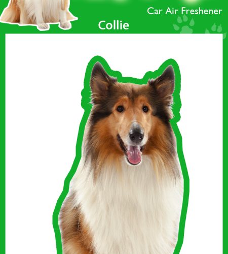 ROUGH COLLIE DOG CAR AIR FRESHENERS X 4 PCS